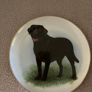 Labrador Retriever decorative plate